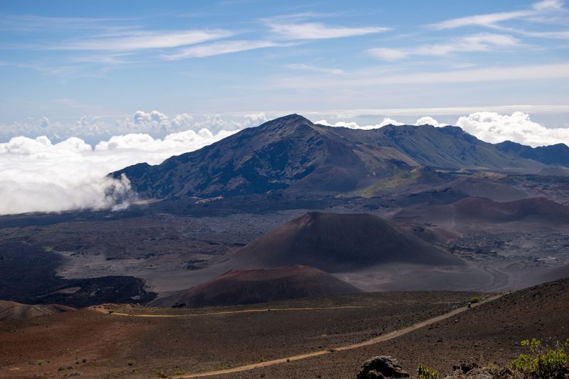 Single-Farm Hawaiian 'Awa: Why Heartlight Doesn't Source From Four Countries